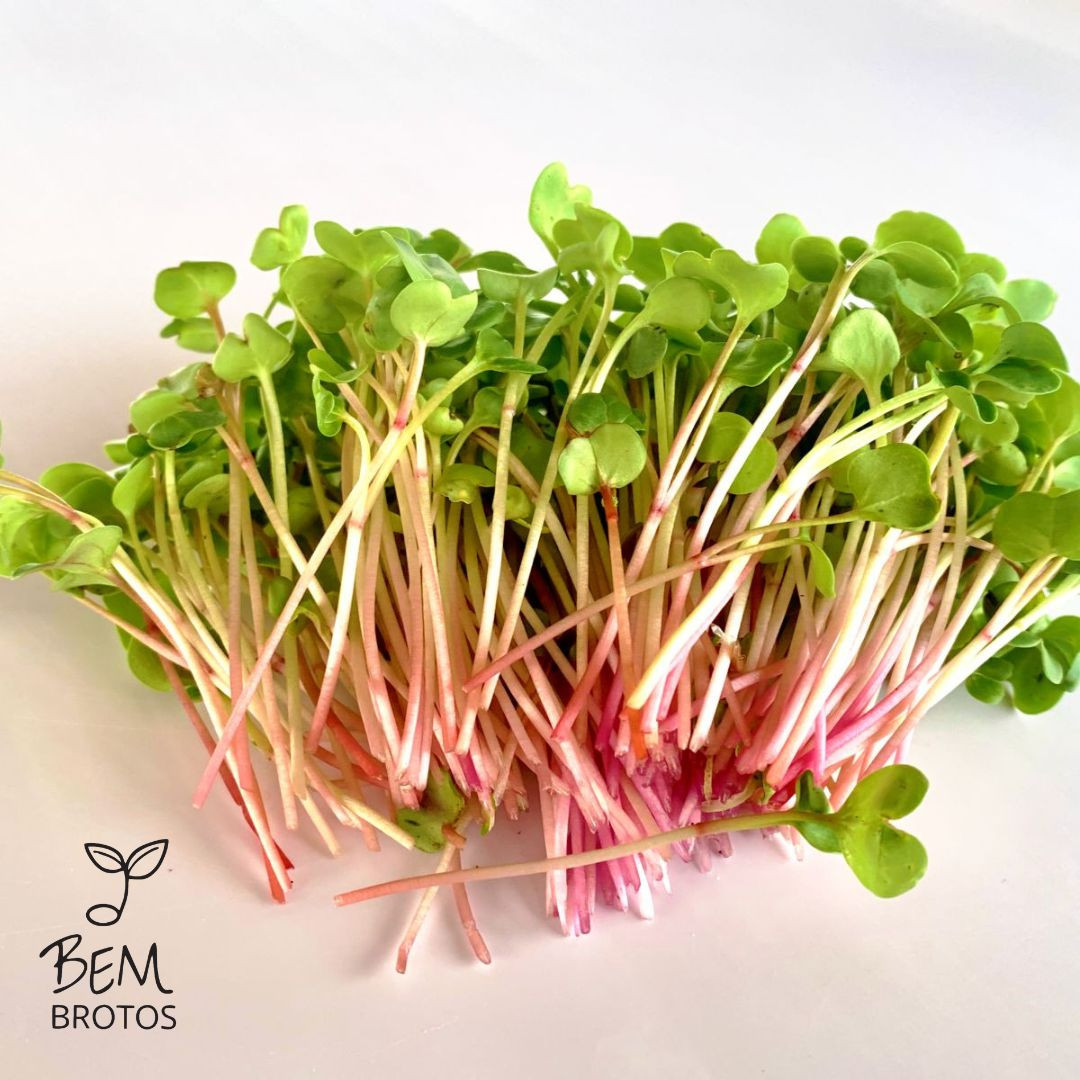 Microverde Rabanete Kiran Bem Brotos - 5 caixas de 50g
