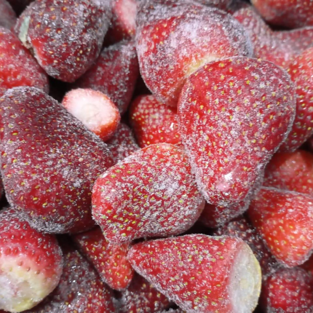 Morango Sítio Juranda 10kg (20 pacotes de 500g)