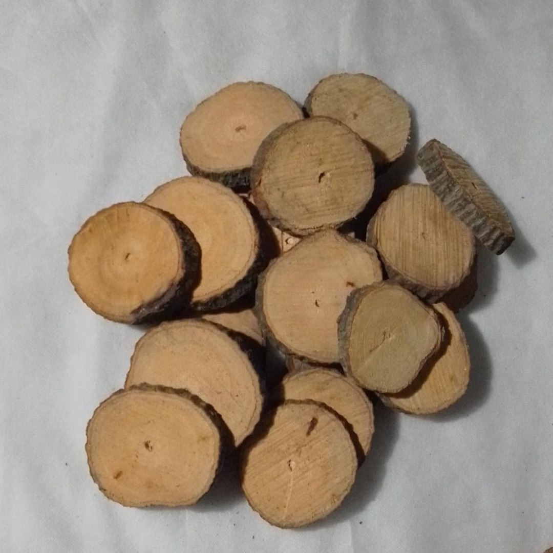 Bolachas de Madeira Rústica (40un x 7cm) Casa das Folhas