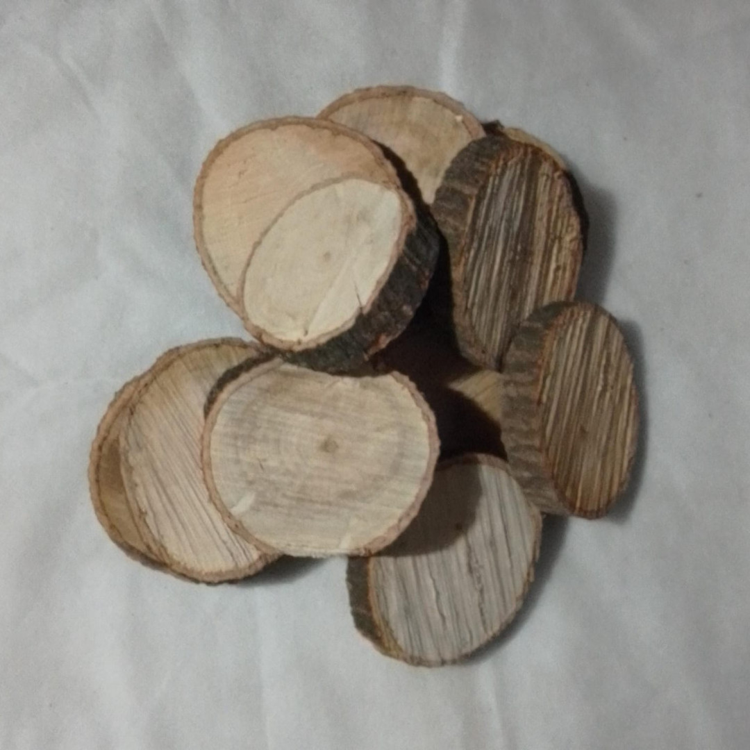 Bolachas de Madeira Rústica (25un x 10cm) Casa das Folhas