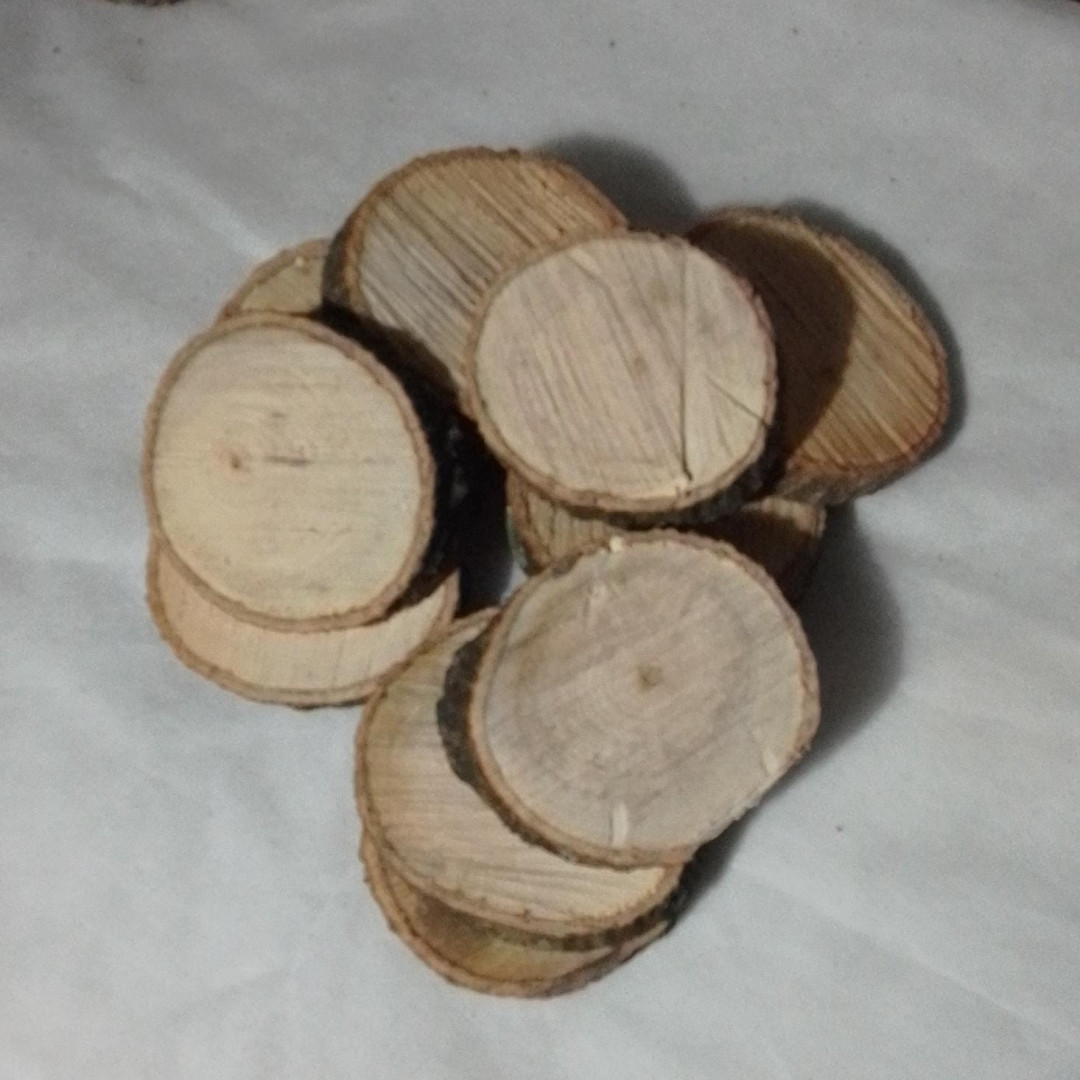 Bolachas de Madeira Rústica (20un x 11cm) Casa das Folhas