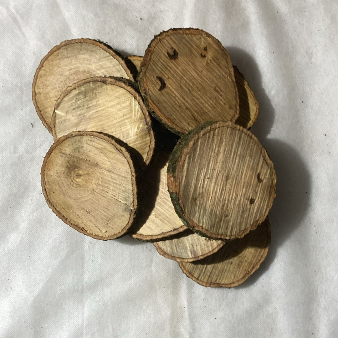 Bolachas de Madeira Rústica (25un x 11cm) Casa das Folhas