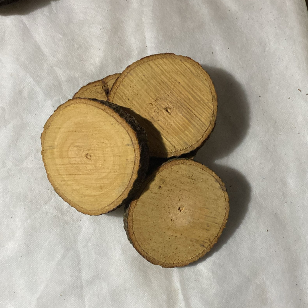 Bolachas de Madeira Rústica (10un x 13cm) Casa das Folhas