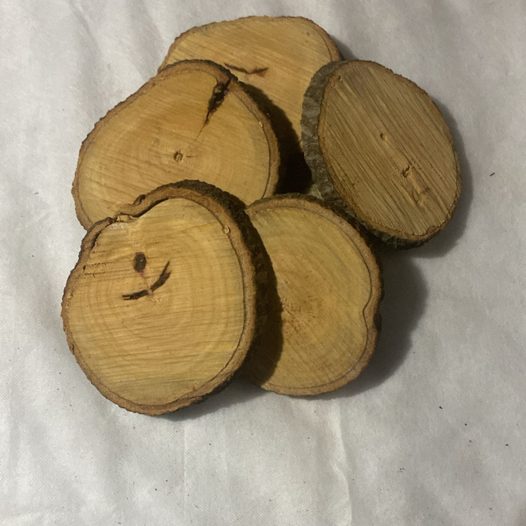 Bolachas de Madeira Rústica (20un x 13cm) Casa das Folhas