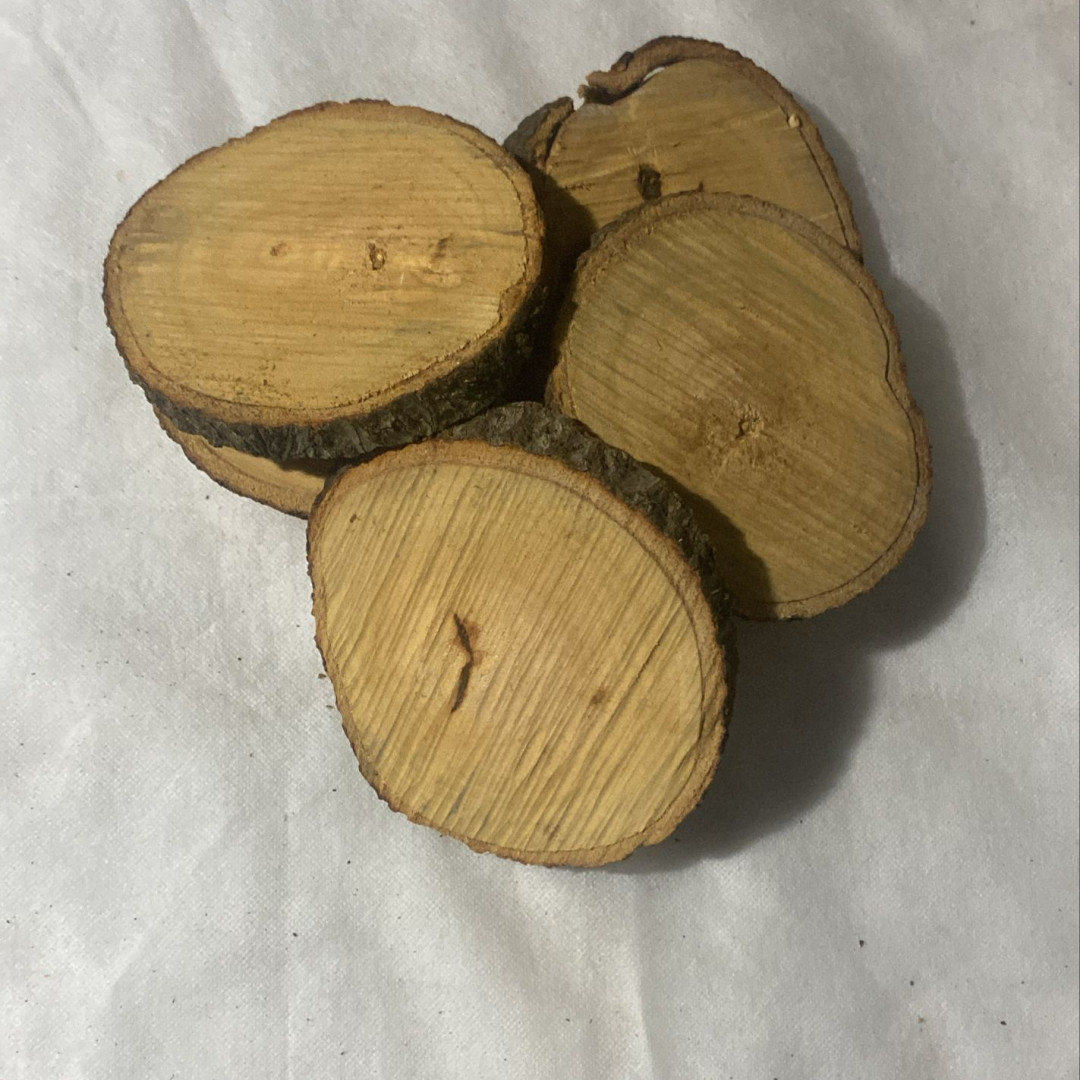 Bolachas de Madeira Rústica (25un x 13cm) Casa das Folhas