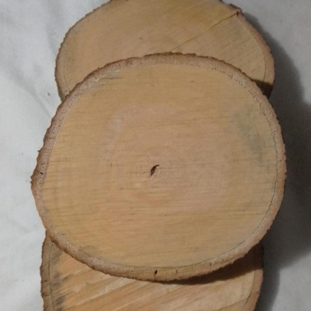 Bolachas de Madeira Rústica (4un x 20cm) Casa das Folhas