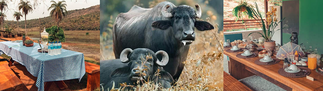 Recanto dos Búfalos Acuruí MG