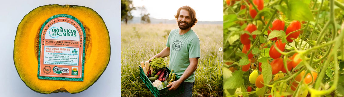 A Orgânica Produção e Comercialização de Orgânicos