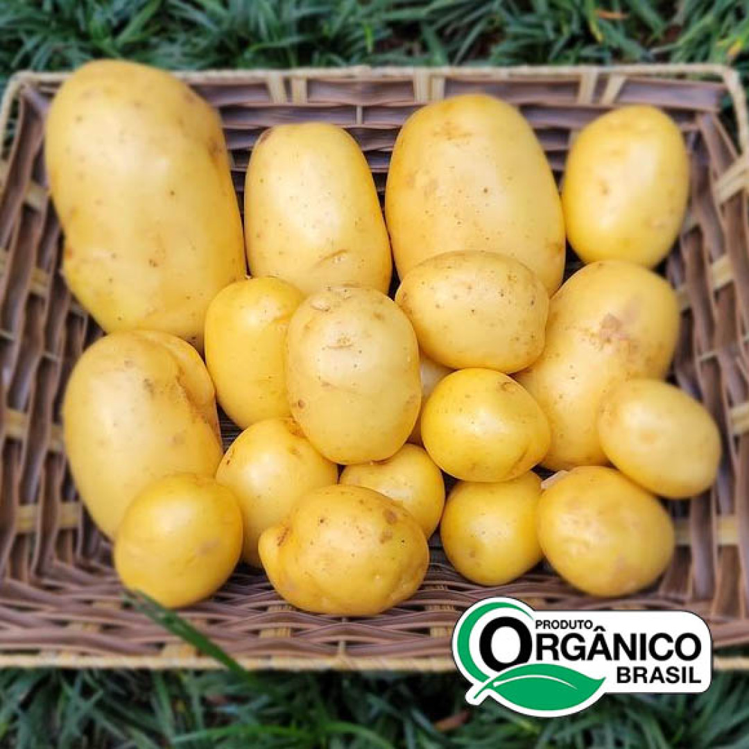 Batata inglesa Orgânicos de Minas - 2kg (5un x 400g)
