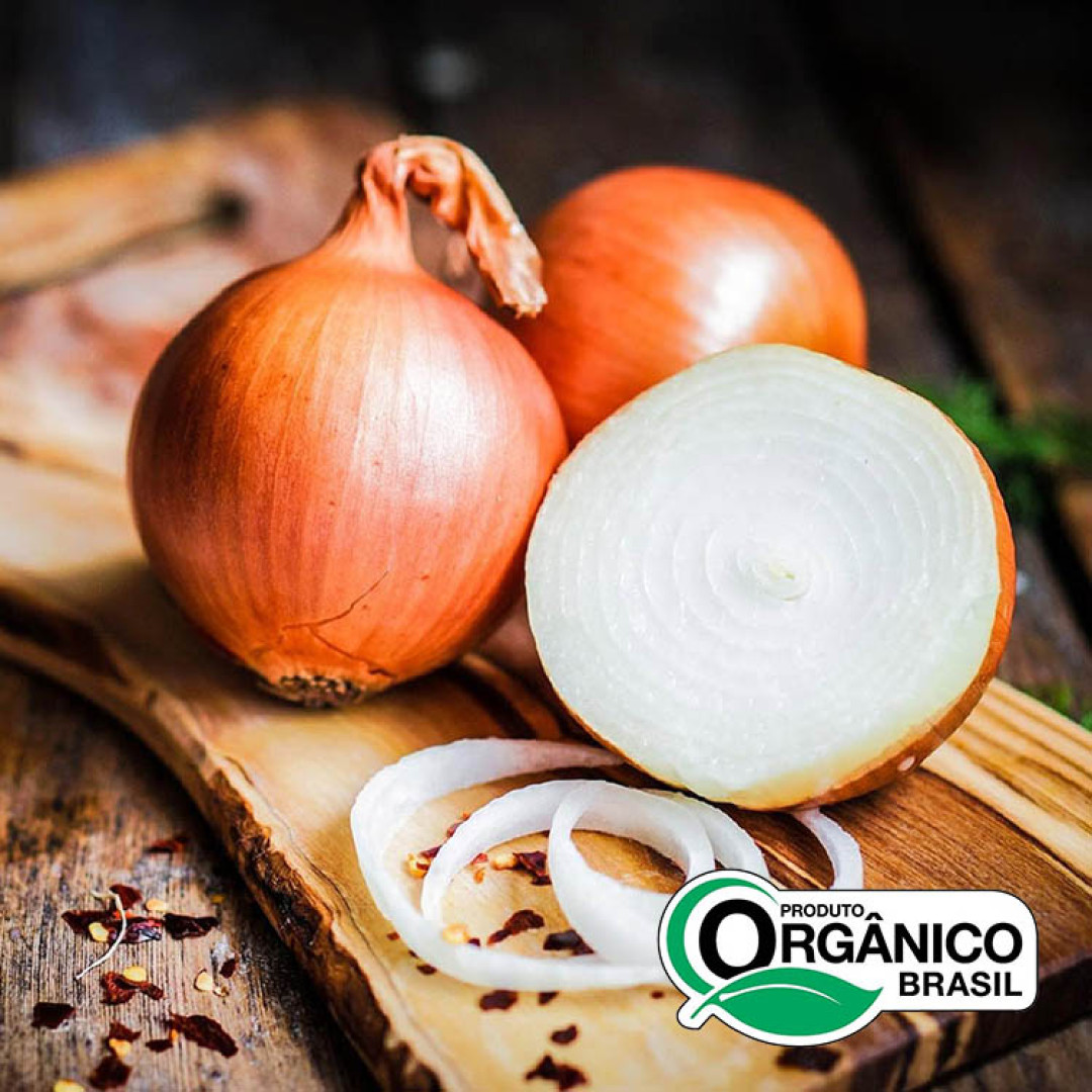Cebola branca Orgânicos de Minas - 2kg (5un x 400g)