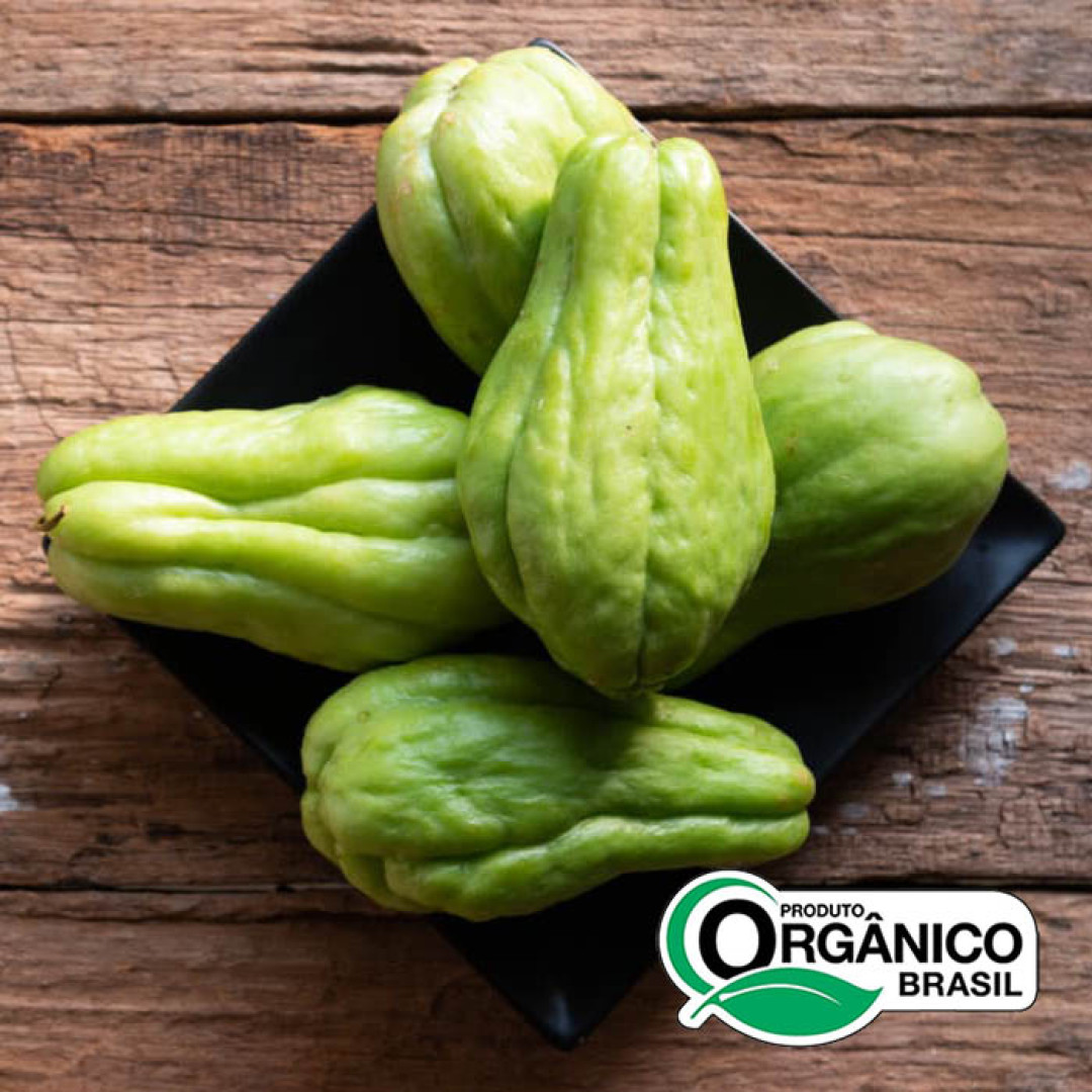 Chuchu Orgânicos de Minas - 3kg (5un x 600g)