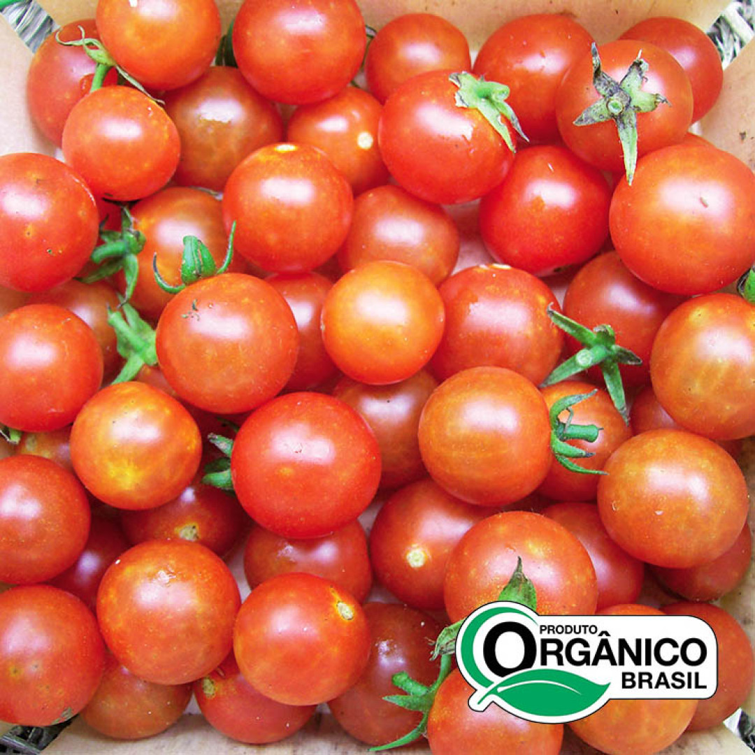 Tomate Cereja Orgânicos de Minas - 2kg (8un x 250g)