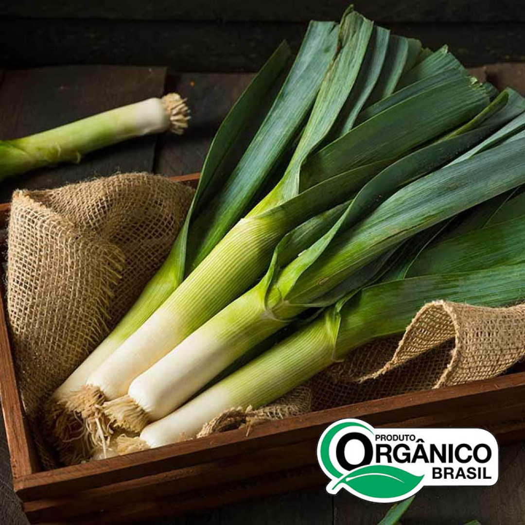 Alho-poró Orgânicos de Minas - 1kg (5un x200g)