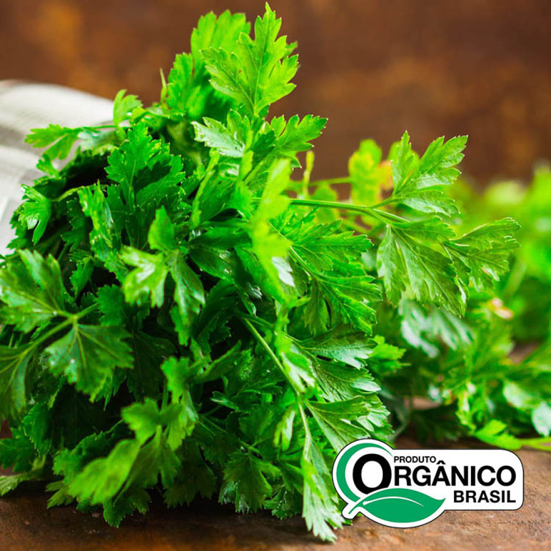 Salsa (Salsinha) Orgânicos de Minas - 10 molhos