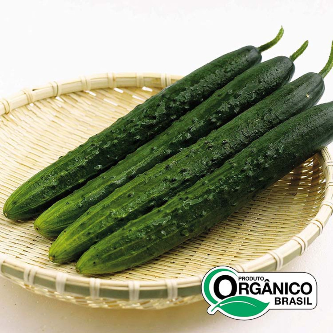 Pepino Japonês Orgânicos de Minas - 2,250 kg (5un x 450g)