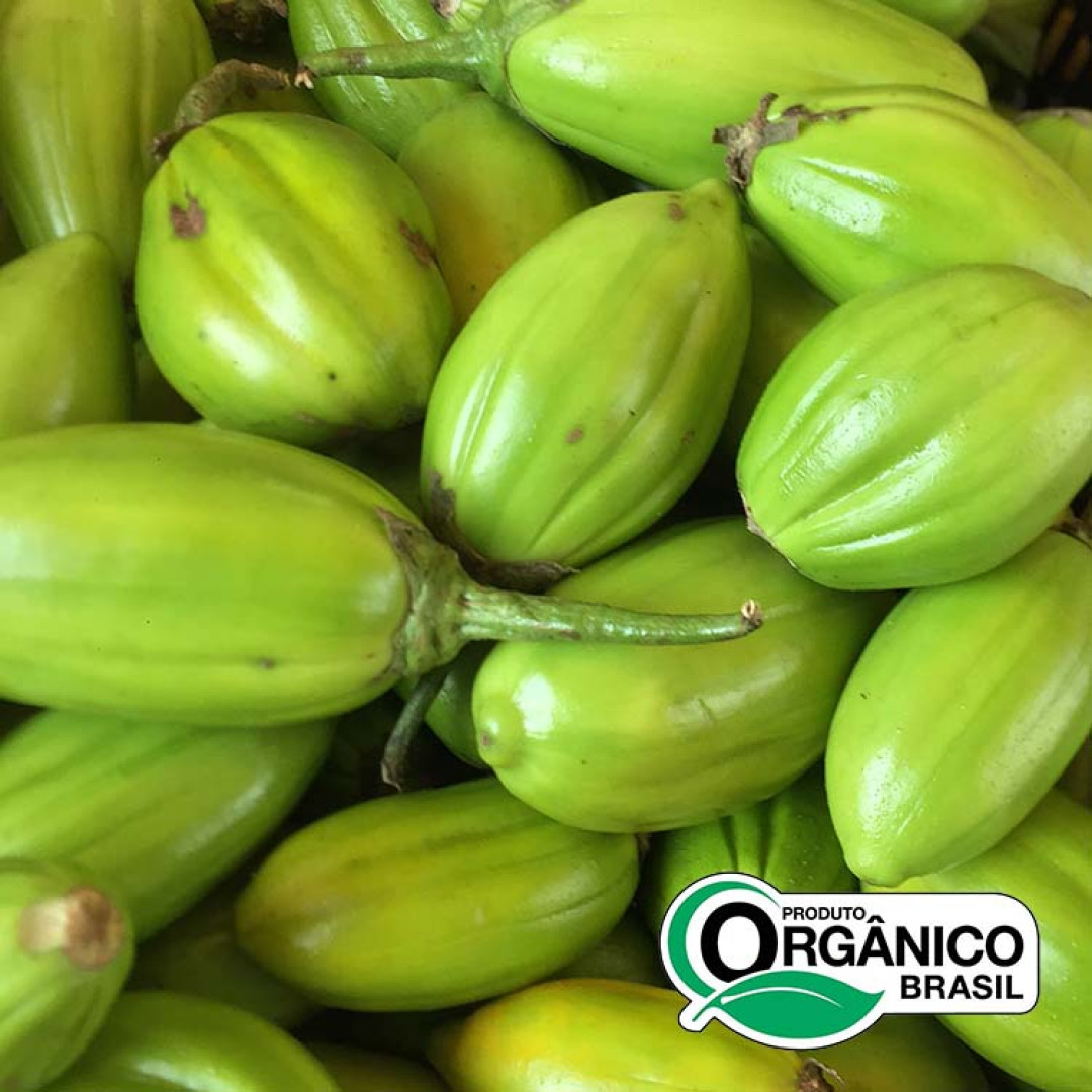 Jiló Orgânicos de Minas - 850g (5un x 170g)