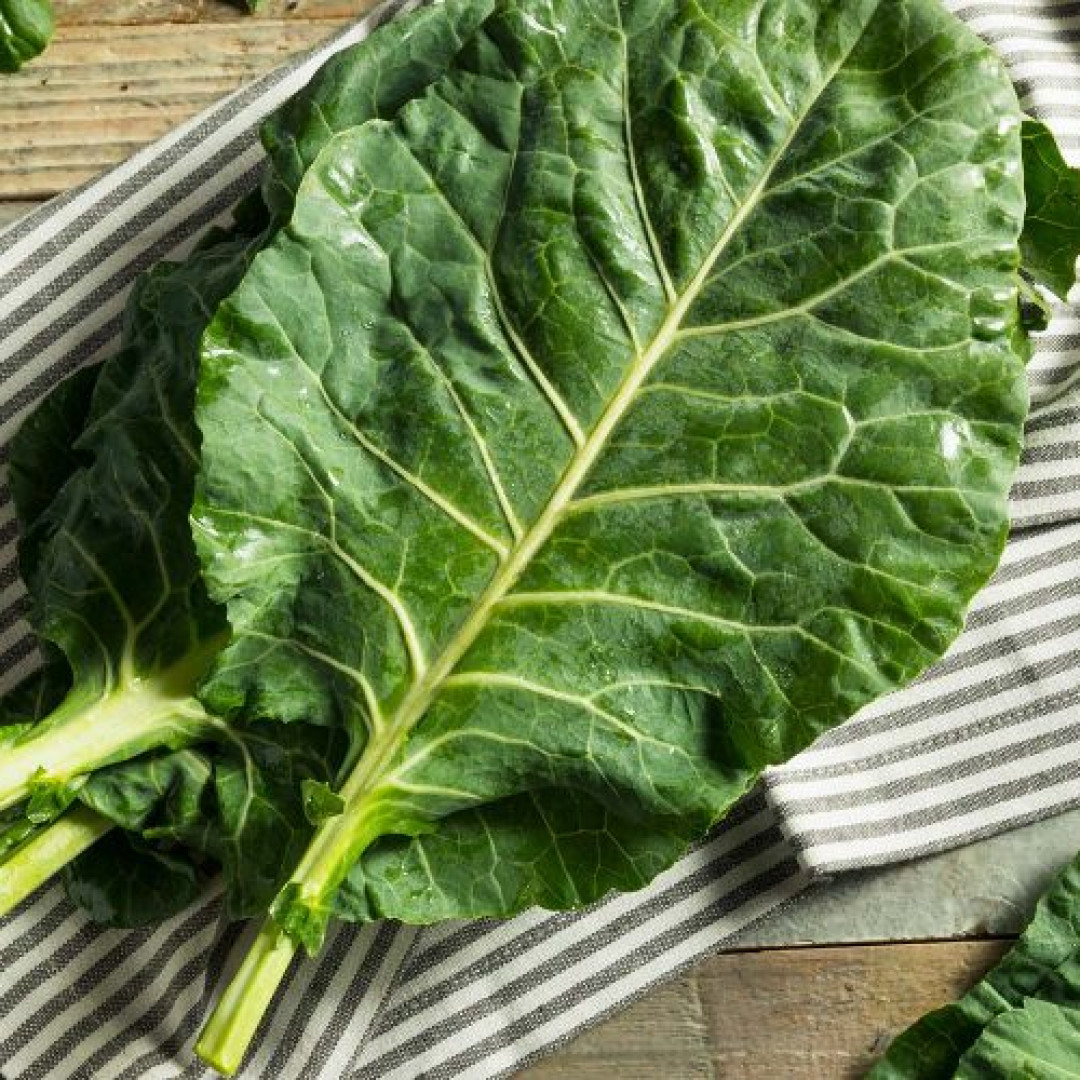 Couve Verduras Diniz - 10 molhos