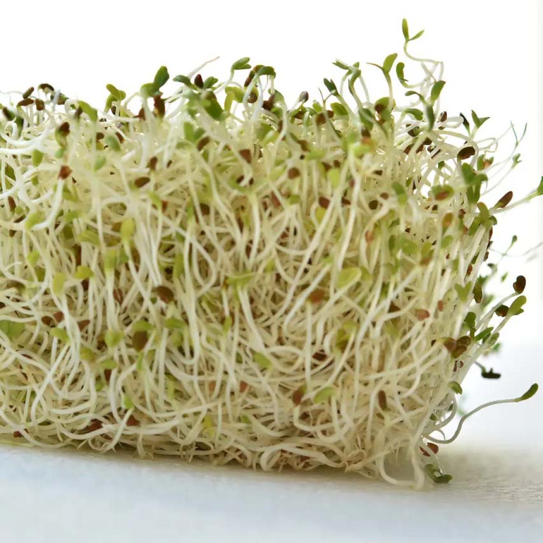 Brotos de Alfafa Verduras Diniz - 6 x 130g