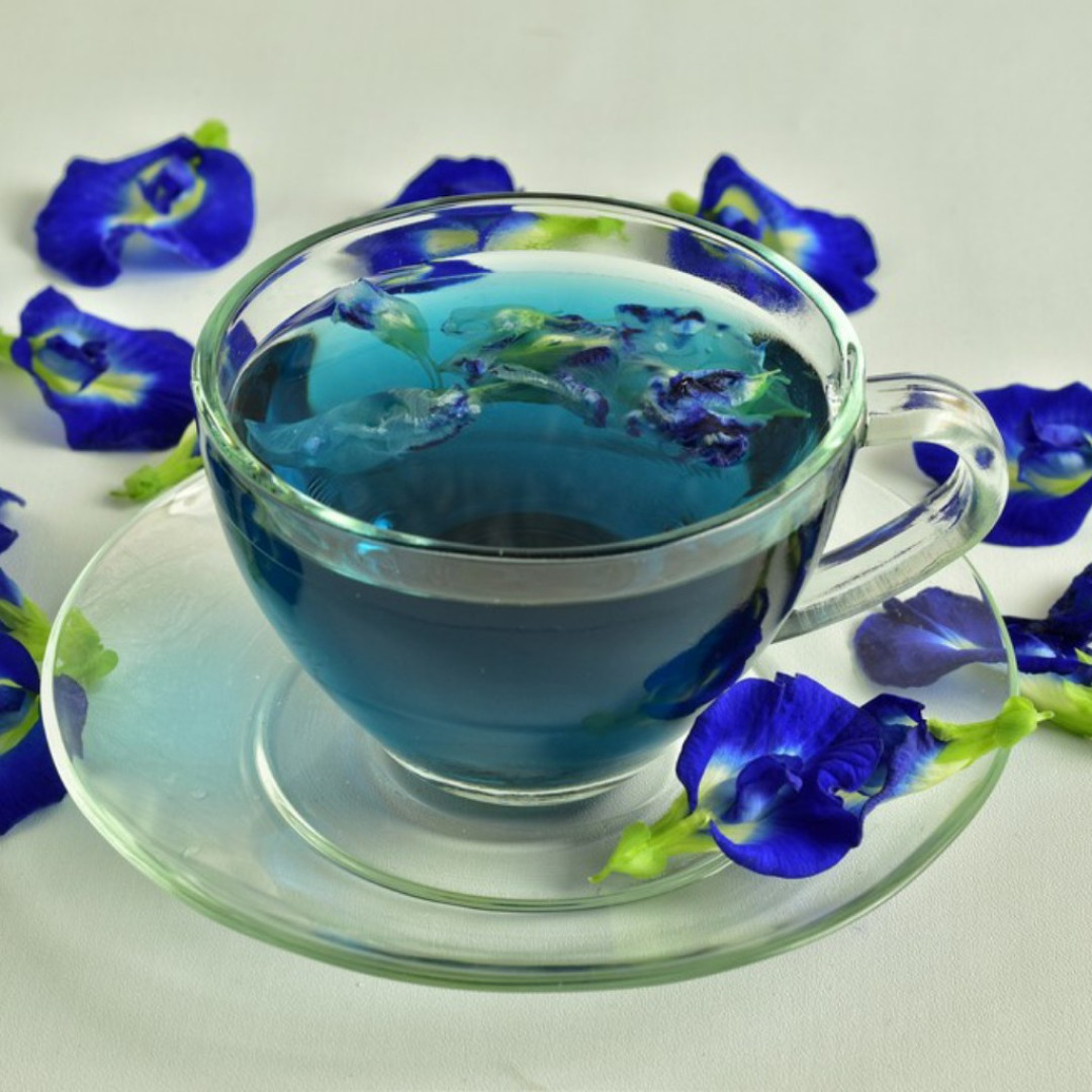 Chá Clitória Ternatea (Fada azul) Aflory