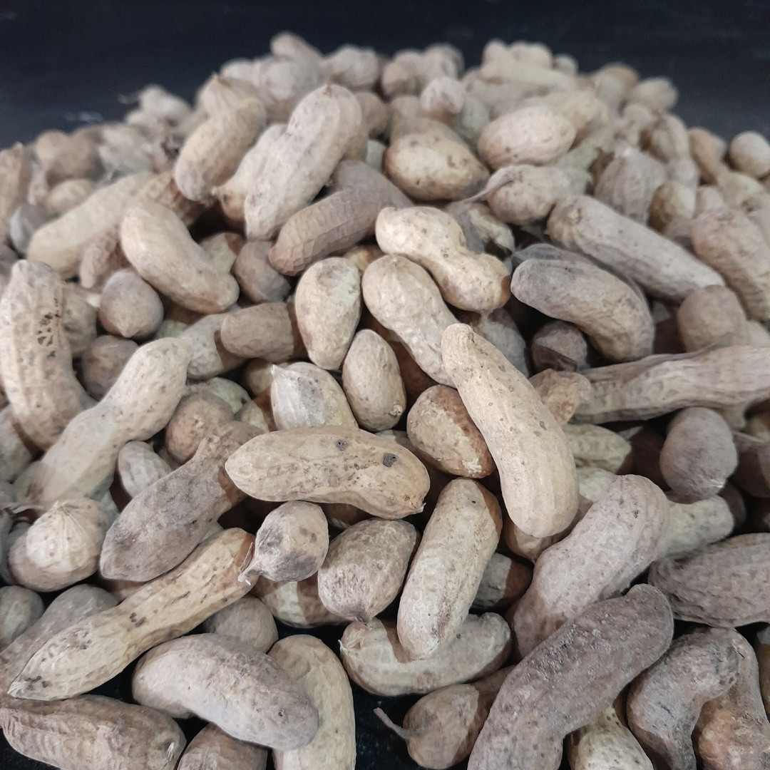 Amendoim Cru com Casca do Norte de Minas Gerais - Caseiros da Roça - 1kg
