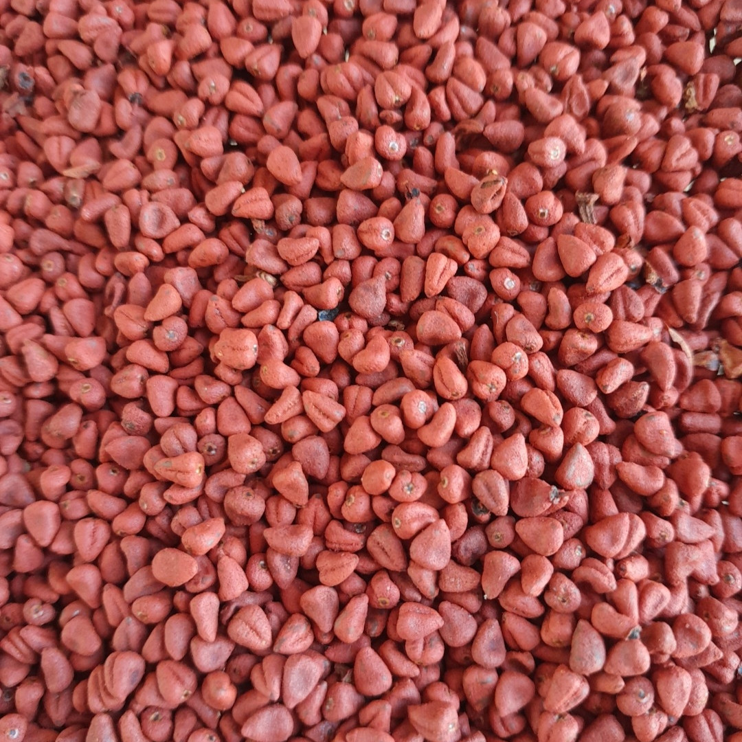Semente de Urucum para Consumo ou Plantio Natural do Norte de Minas Gerais - Caseiros da Roça - 200g