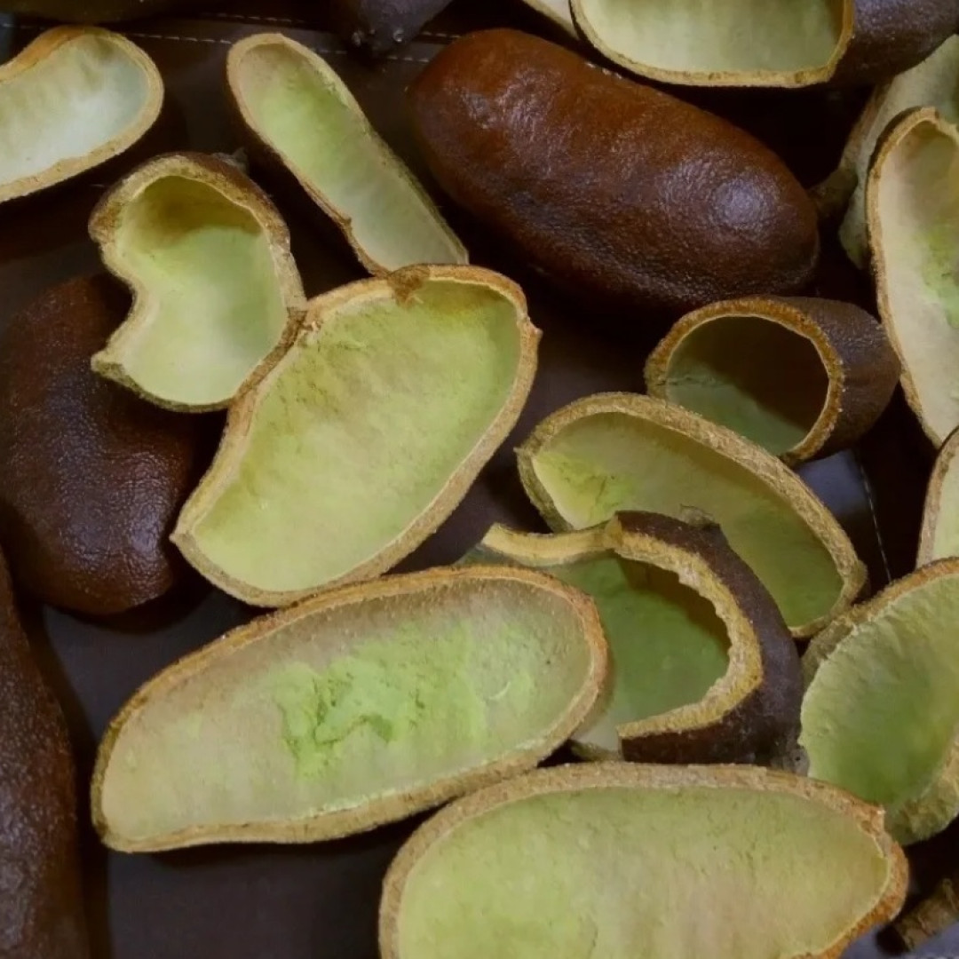 Jatobá em Casca sem o Fruto Caseiros da Roça - 300g