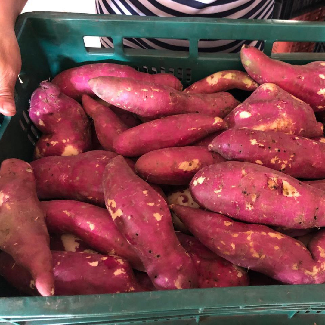 Batata Doce Sítio Grota do Paiol - 20kg