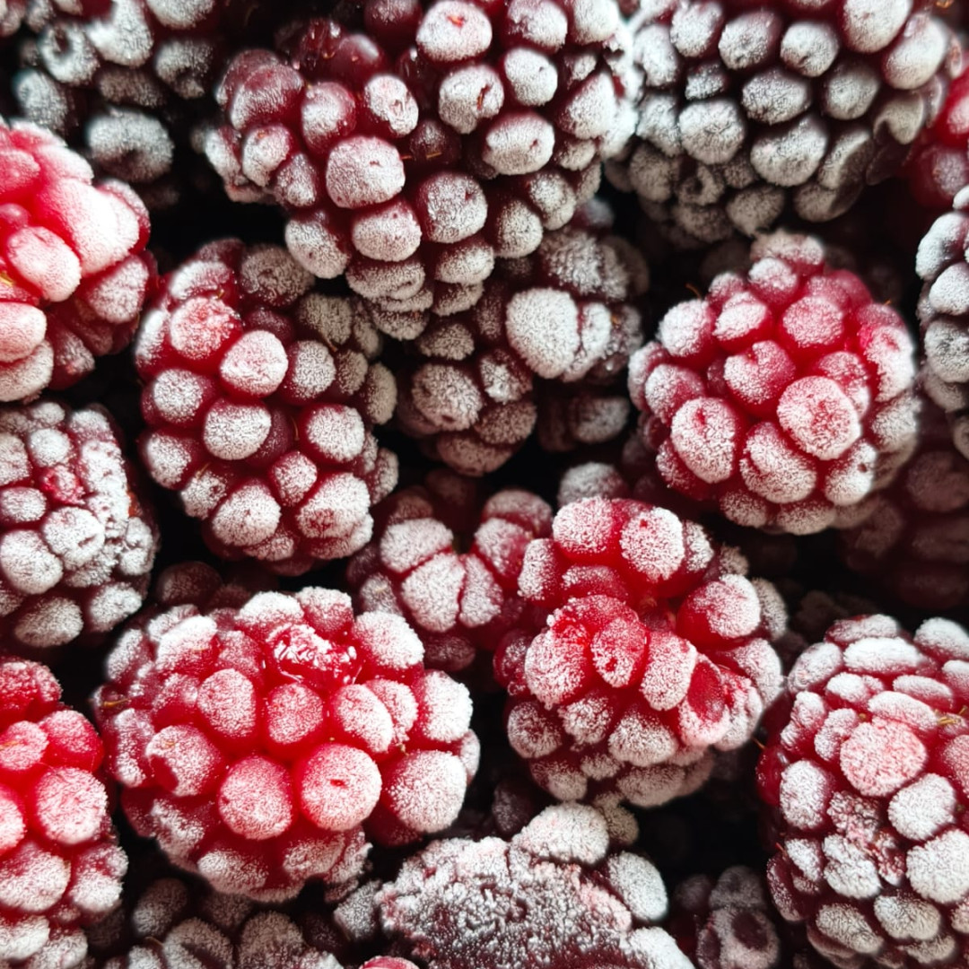 Amora congelada Sítio Santa Teresa - 500 gr